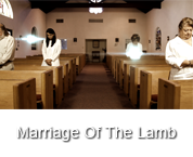 Marriage Of The Lamb Book Trailer