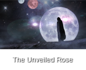 The Unveiled Rose Book Trailer